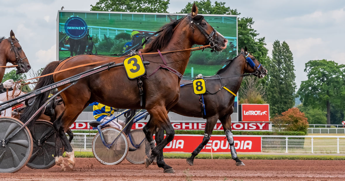 pronostics tiercé gagnants